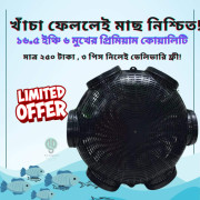 3 Pcs বড় সাইজ ফিস ট্রাপ (মাছ ধরা চ্যাঁই)
